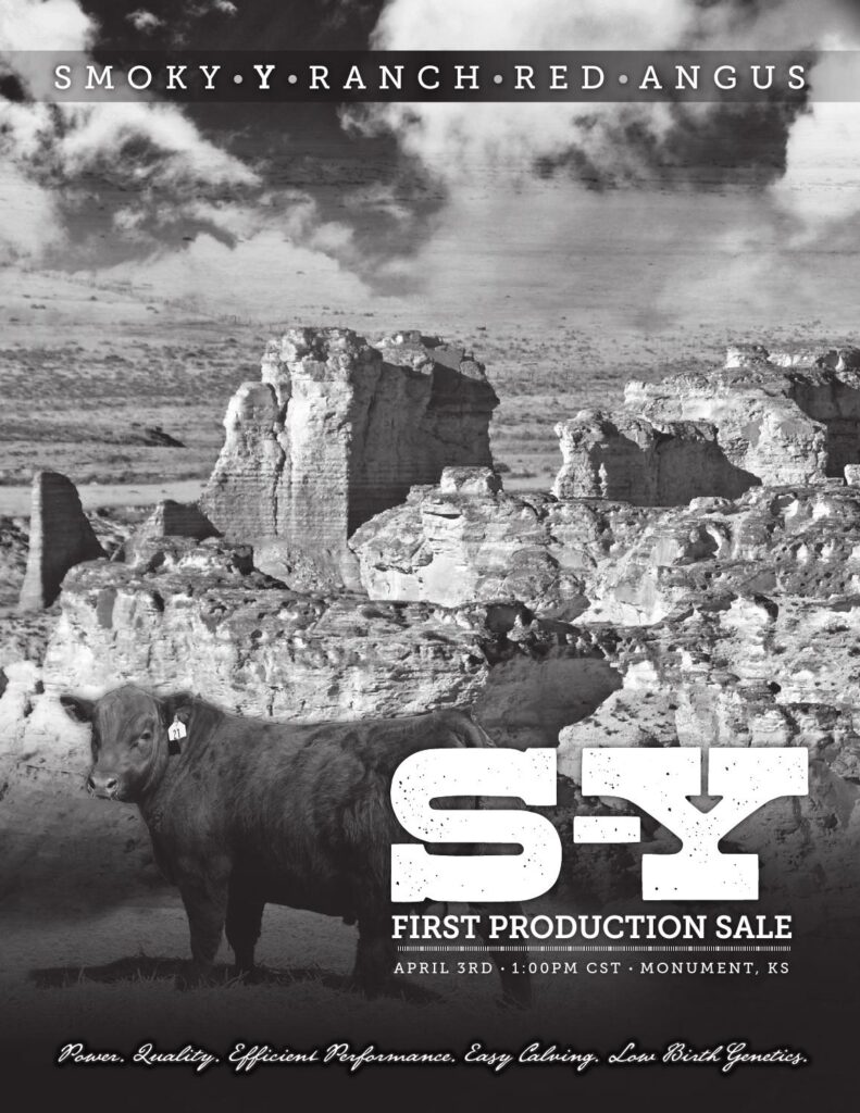 Smoky Y Ranch Red Angus - 1st Annual Production Sale