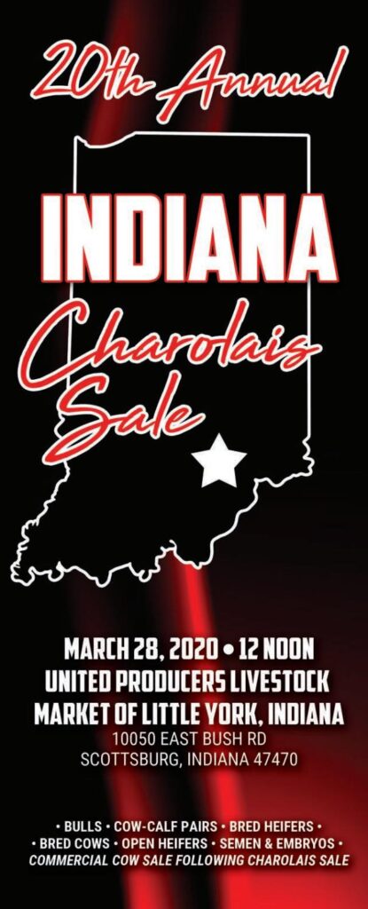 South Central Indiana Charolais Sale - 2020 Sale