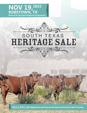 South TX SGBA - 2022 Fall Texas Heritage Sale