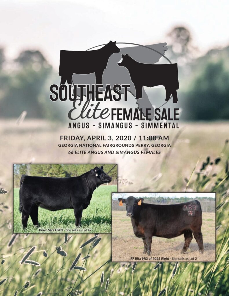 SouthEast Elite Female Sale - 2020 Sale