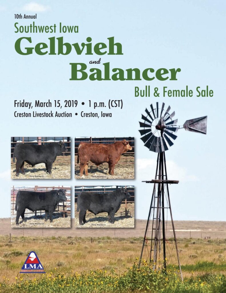 SouthWest Iowa Gelbvieh - 2019 Sale