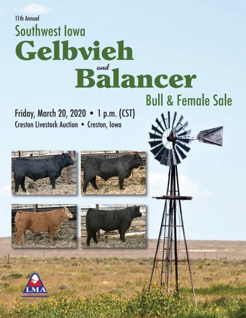 SouthWest Iowa Gelbvieh - 2020 Sale