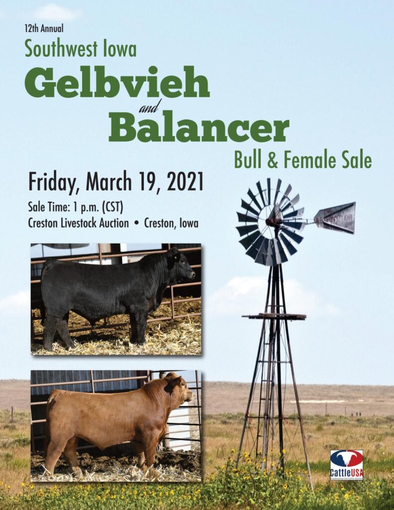SouthWest Iowa Gelbvieh - 2021 Spring Sale