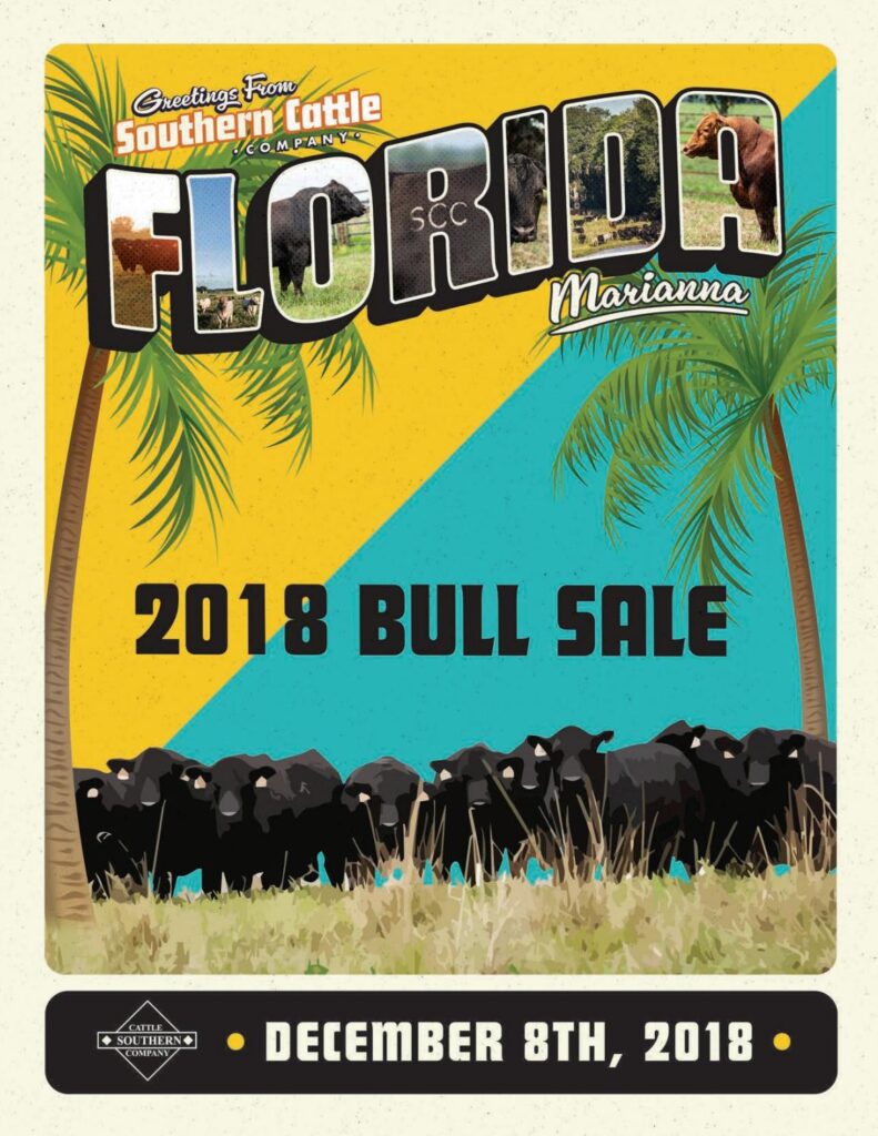 Southern Cattle Company - 2018 Bull Sale