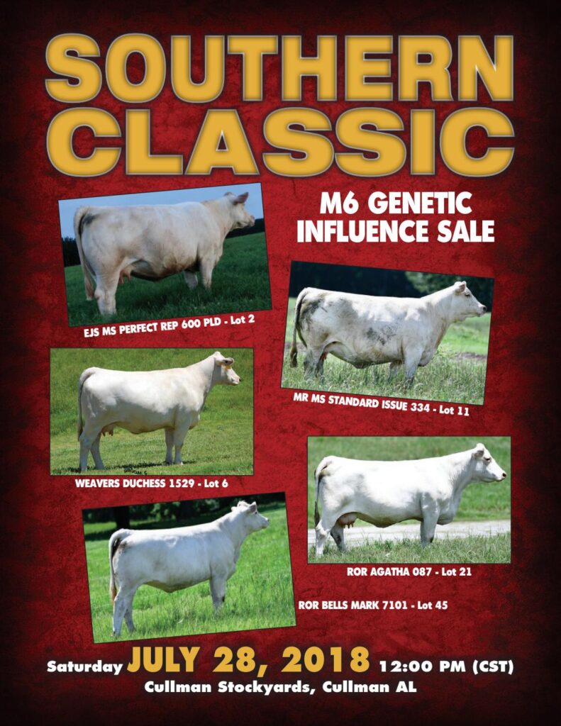 Southern Classic - 2018 Sale