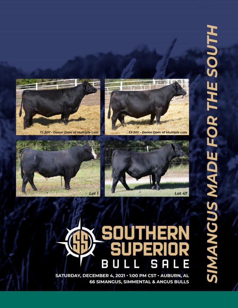 Southern Superior - Fall 2021 Sale