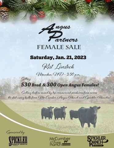 Spickler Ranch South - 2023 Spring Angus Partners Sale