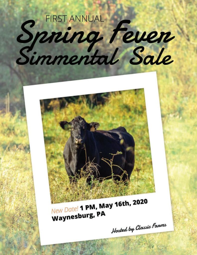 Spring Fever Sale - 2020 Spring Sale