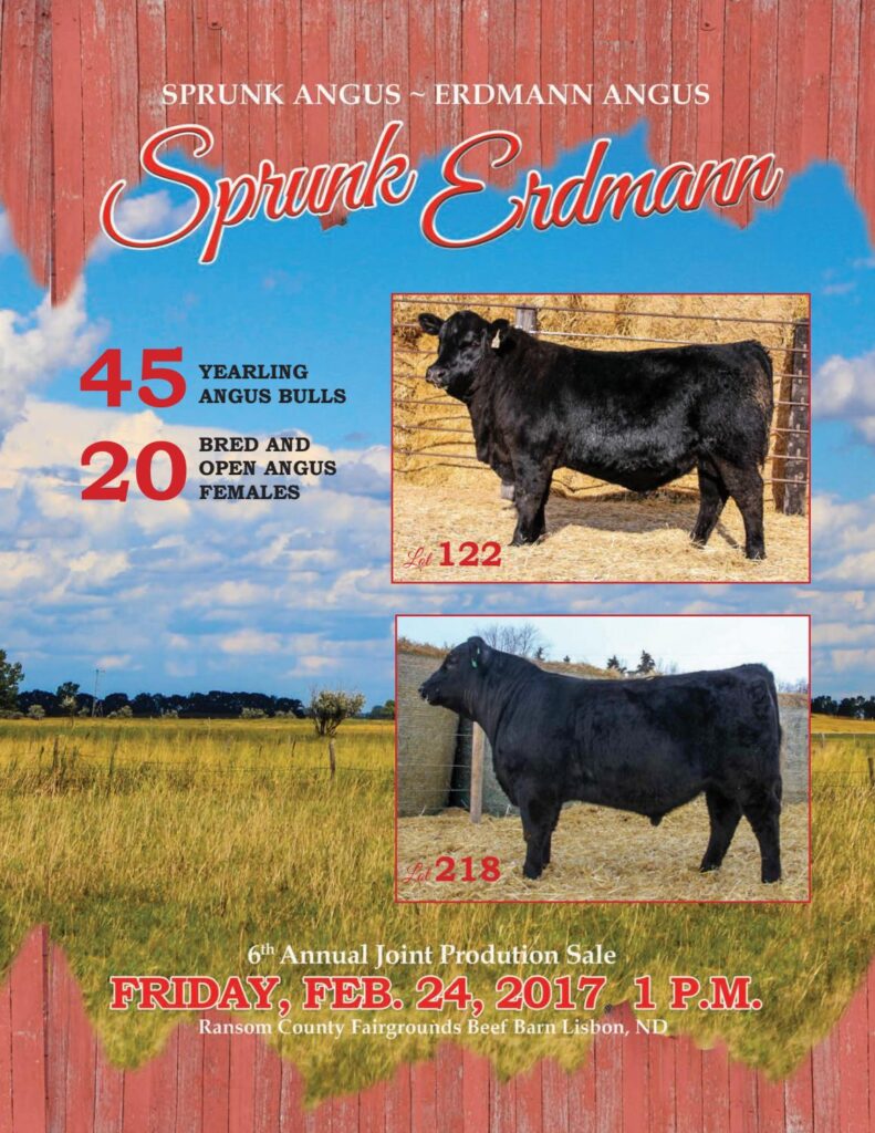 Sprunk/Erdmann Angus - 2017 Joint Production Sale