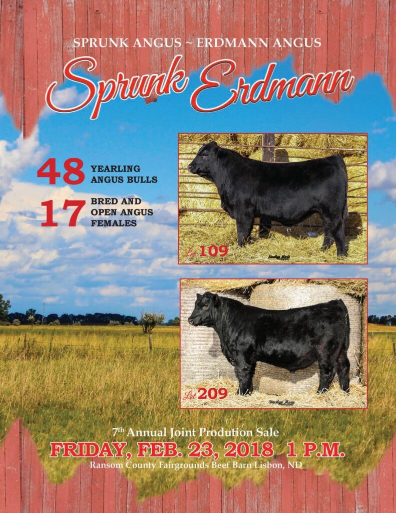 Sprunk/Erdmann Angus - 2018 Joint Production Sale