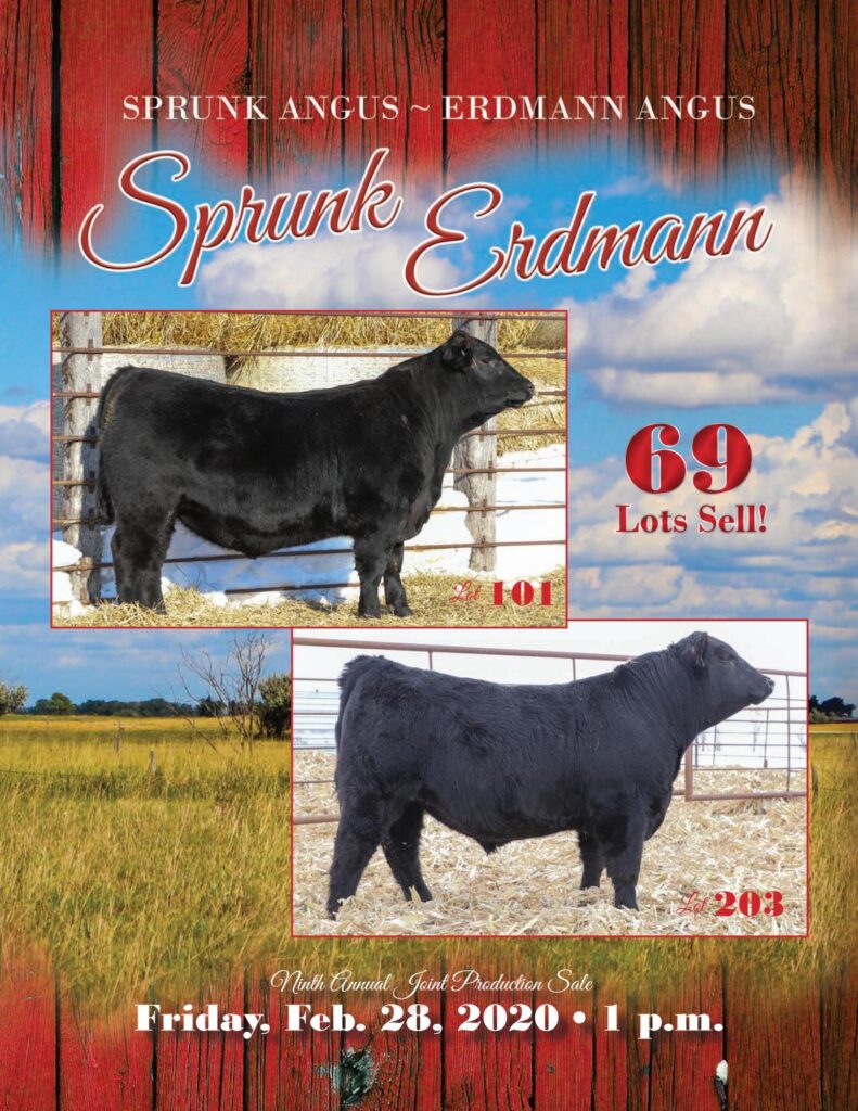 Sprunk/Erdmann Angus - 2020 Joint Production Sale