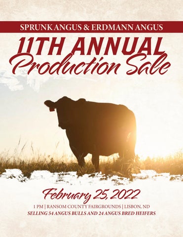 Sprunk/Erdmann Angus - 2022 Spring Joint Production Sale