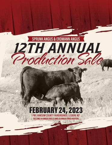 Sprunk/Erdmann Angus - 2023 Spring Joint Production Sale