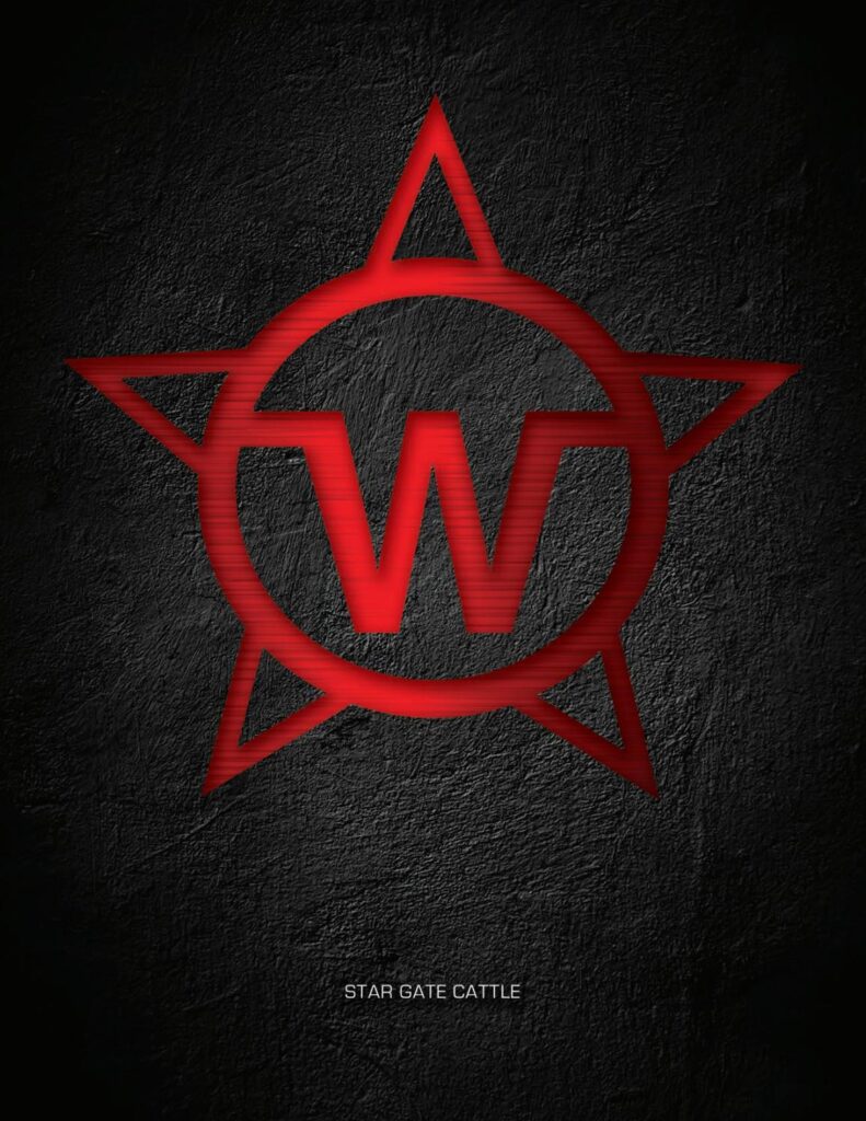 Star Gate Cattle - 2020 Sale