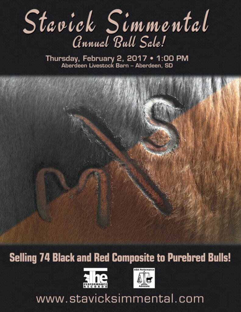 Stavick Simmental - 2017 Bull Sale