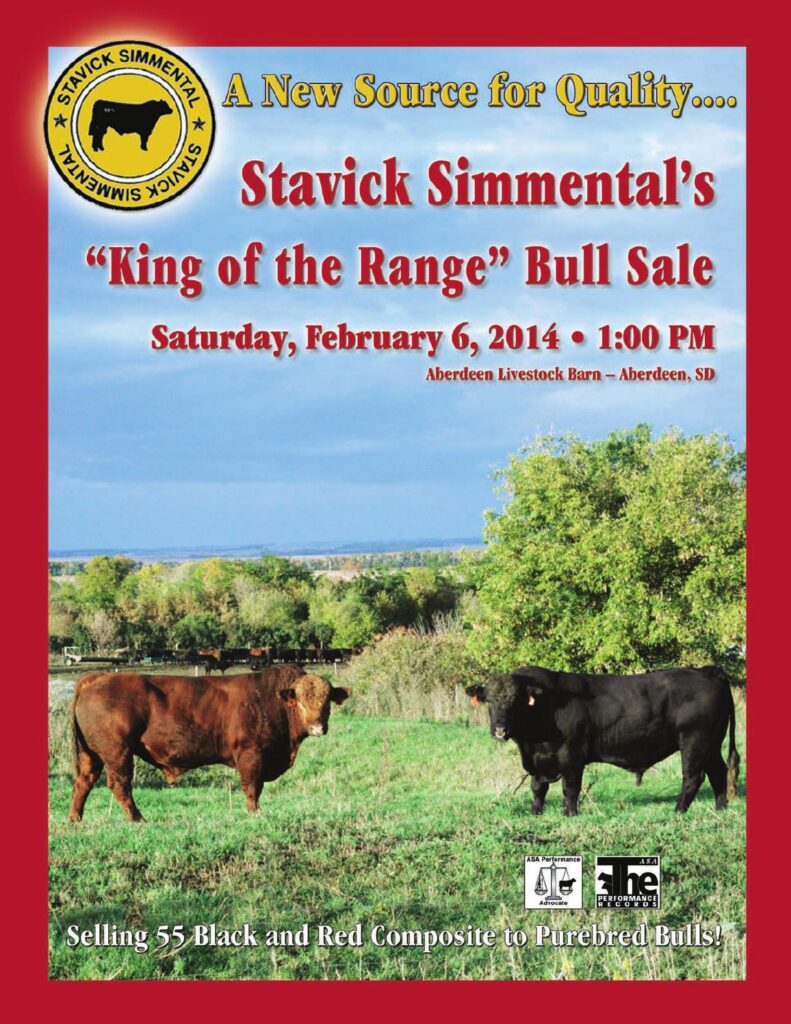 Stavick Simmentals - 2014 'King of the Range' Bull Sale