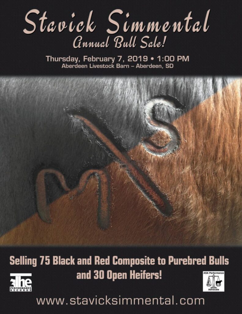 Stavick Simmentals - 2019 Bull Sale