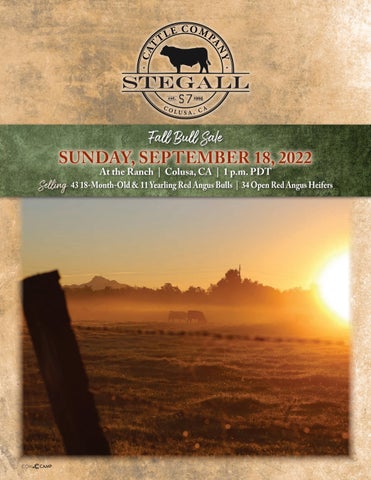Stegall Cattle Co. - 2022 Fall Sale