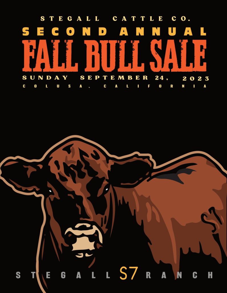 Stegall Cattle Co. - 2023 Fall Sale