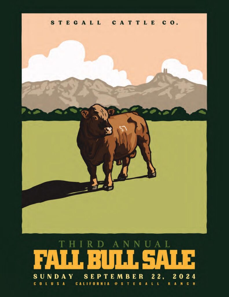 Stegall Cattle Co. - 2024 Fall Catalog
