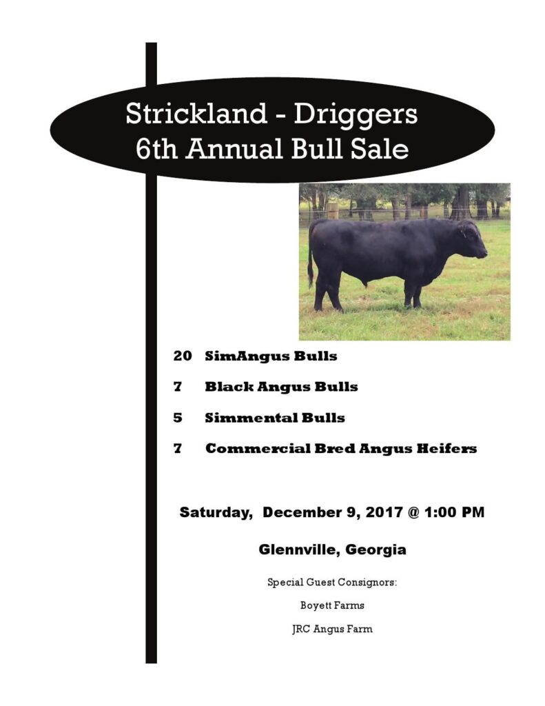 Strickland & Driggers - 2017 Annual Bull Sale