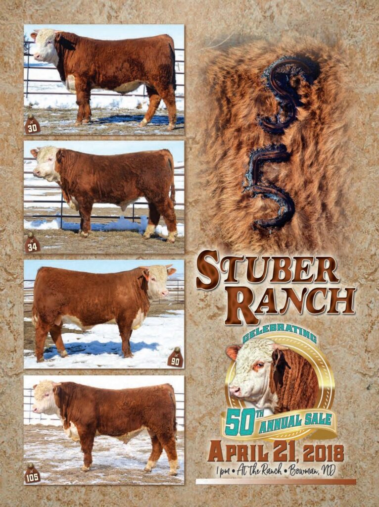 Stuber Ranch - 2018 Bull Sale