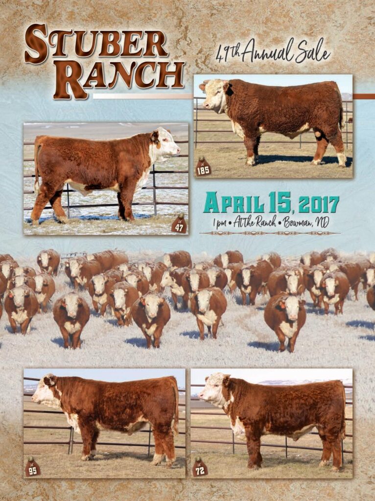 Stuber Ranch - 49th Annual Bull Sale