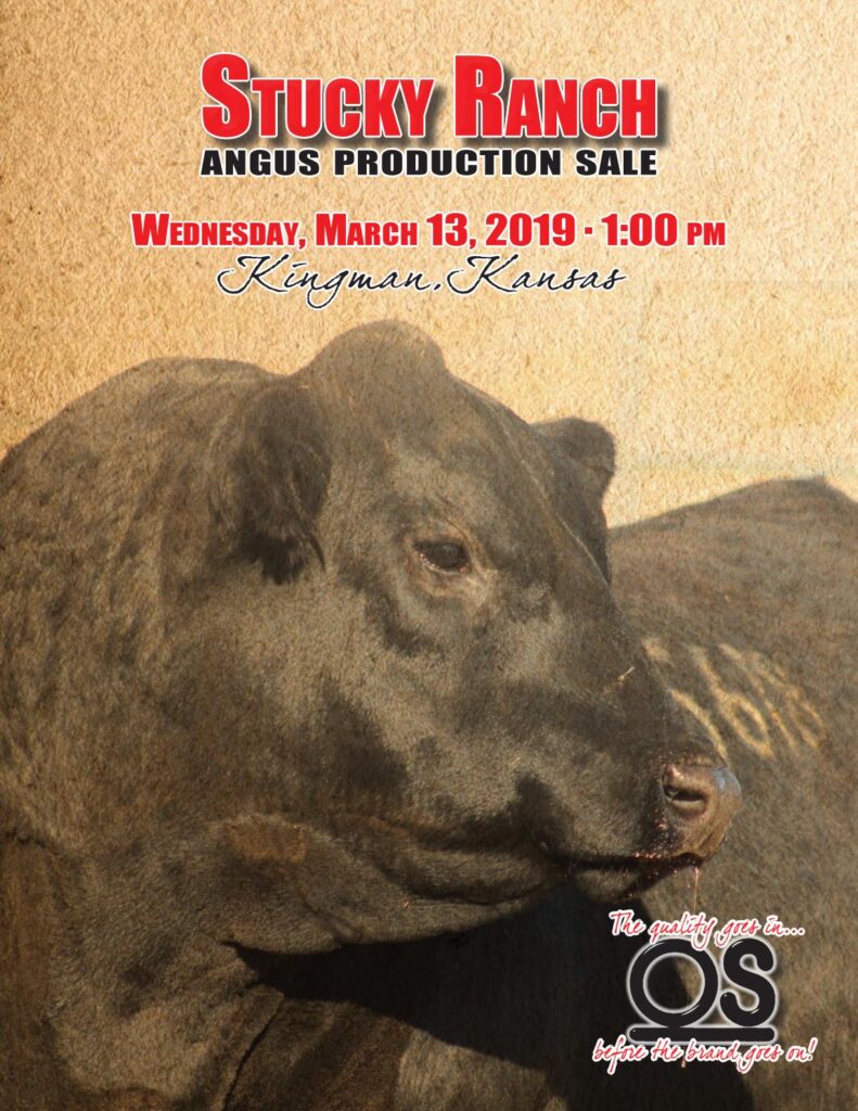 Stucky Ranch - 2019 Bull Sale