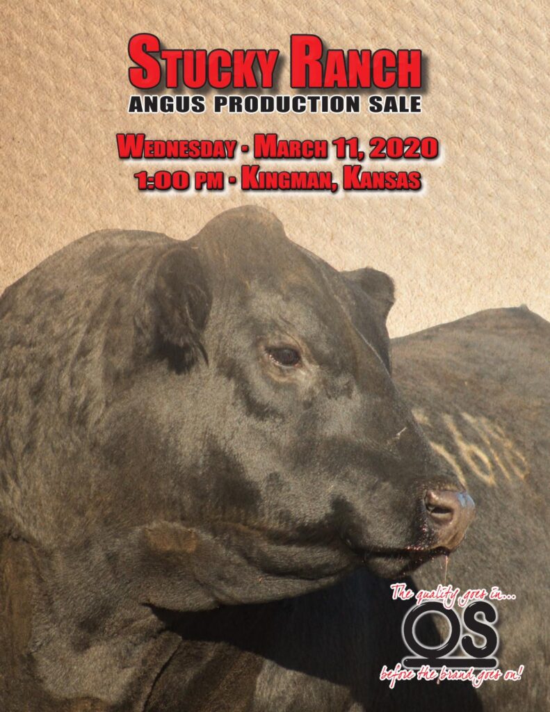 Stucky Ranch - 2020 Bull Sale