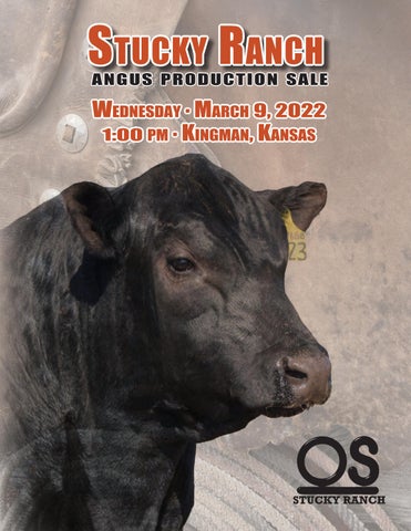 Stucky Ranch - 2022 Bull Sale