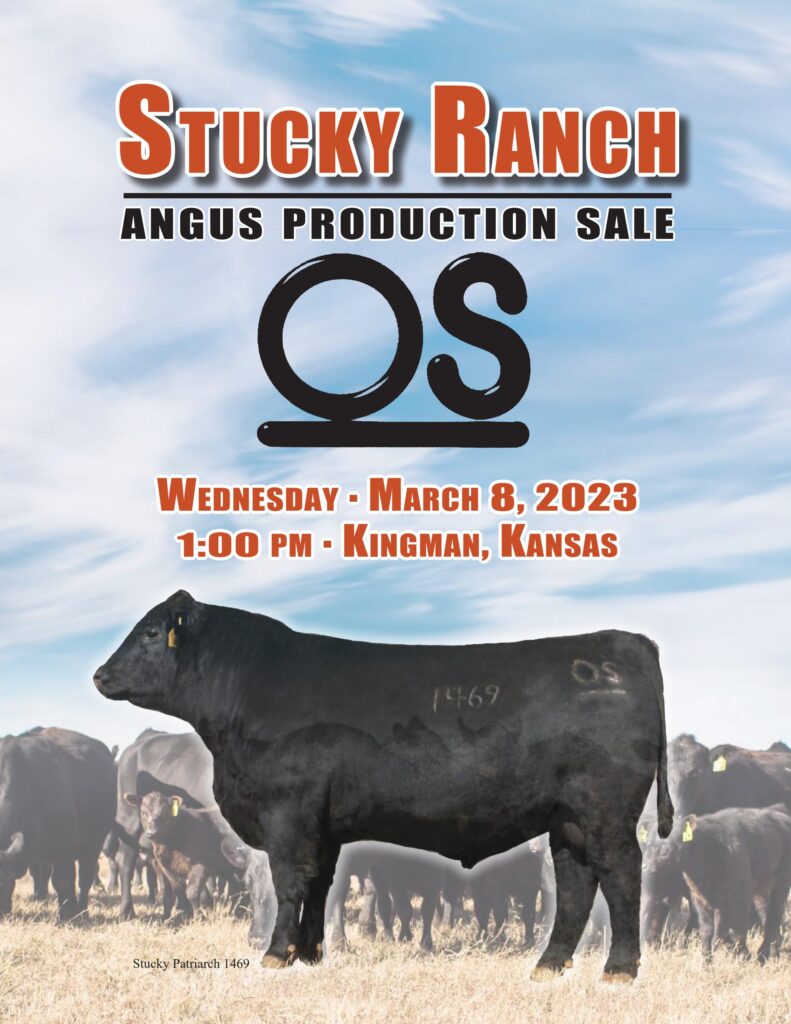 Stucky Ranch - 2023 Bull Sale
