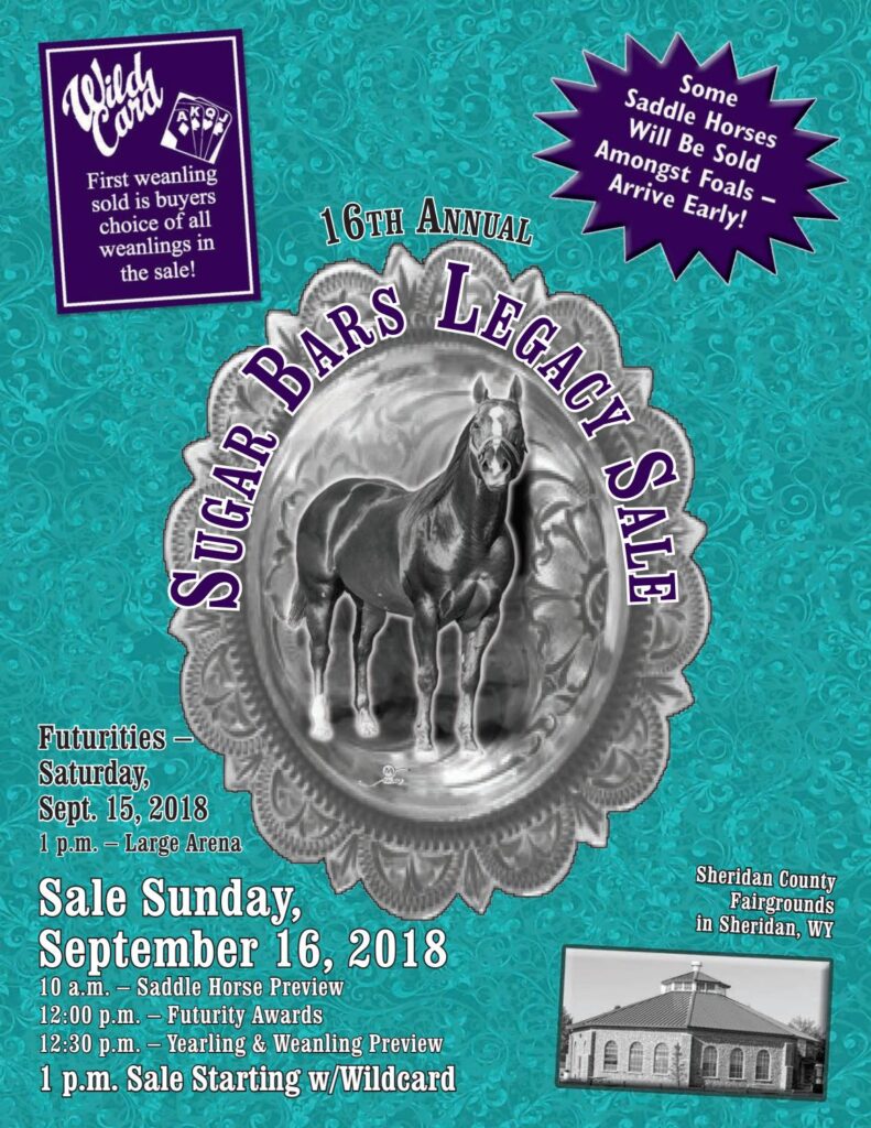 Sugar Bars Legacy - 2018 Horse Sale