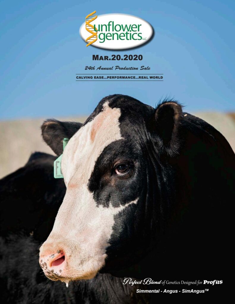 Sunflower Genetics - 2020 Sale