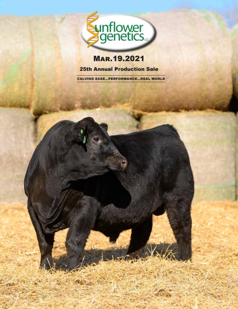 Sunflower Genetics - 2021 Sale