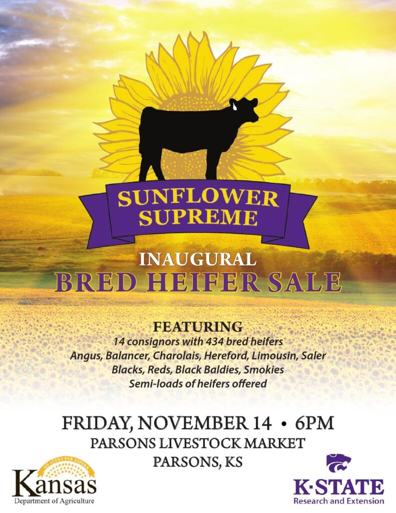 Sunflower Supreme - 2014 Inaugural Bred Heifer Sale