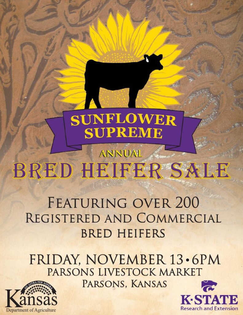 Sunflower Supreme - 2015 Bred Heifer Sale