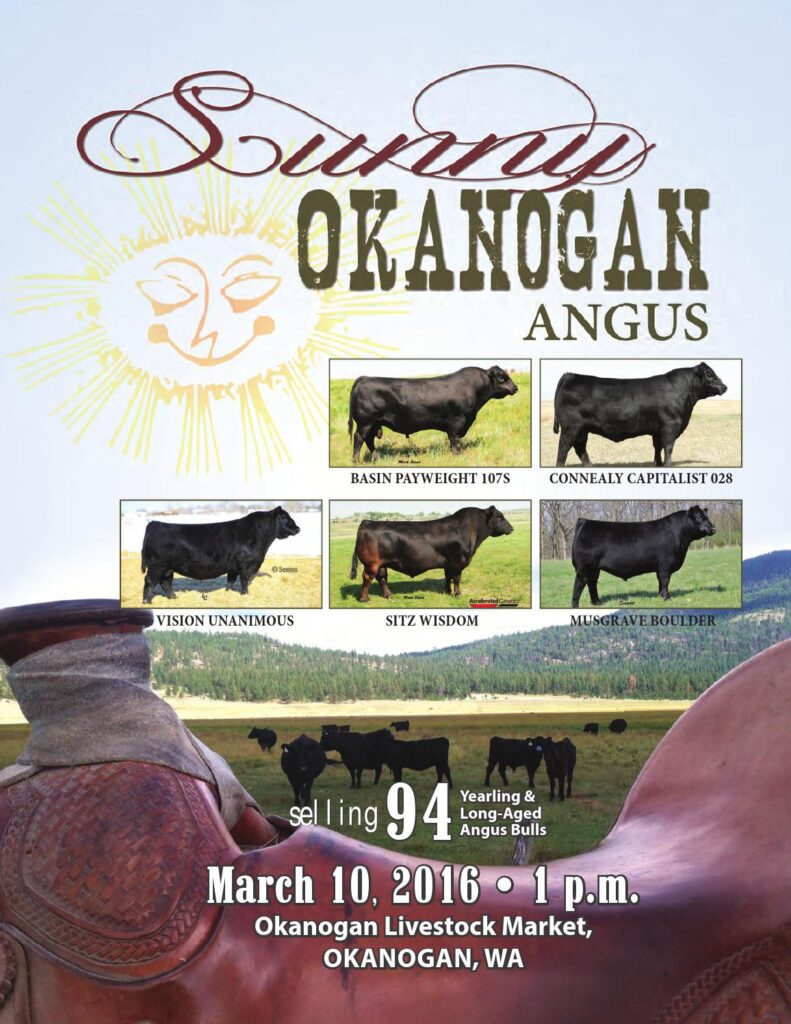 Sunny Okanogan Angus - 2016 Bull Sale