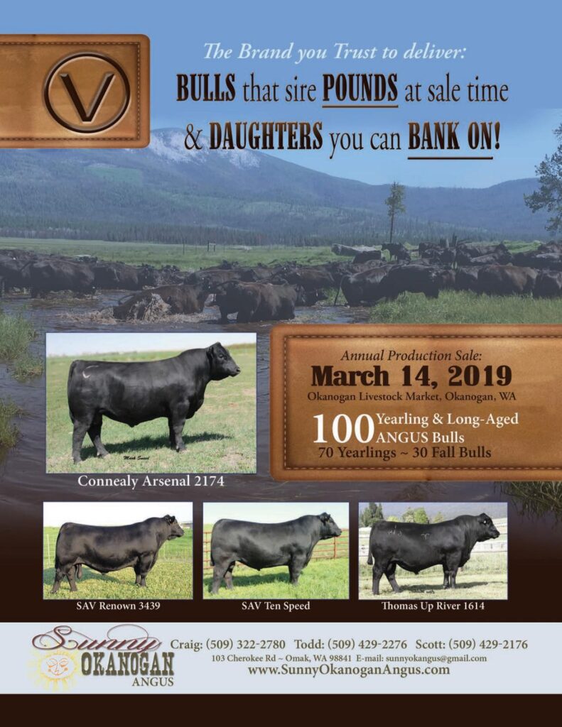 Sunny Okanogan Angus Ranch - 2019 Sale
