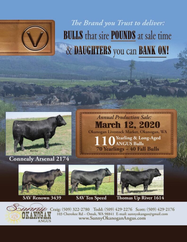 Sunny Okanogan Angus Ranch - 2020 Sale