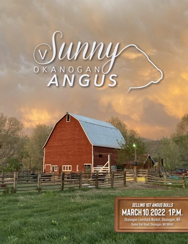 Sunny Okanogan Angus Ranch - 2022 Spring Sale