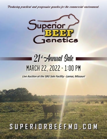 Superior Beef Genetics - 2022 Spring Sale