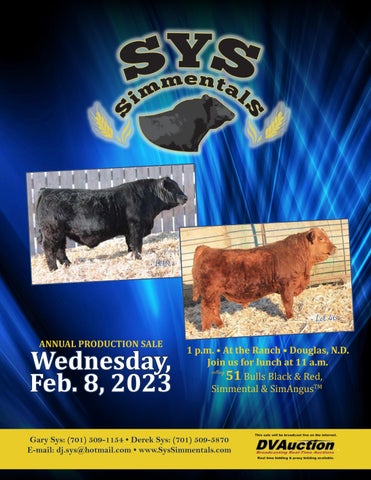 Sys Simmentals - 2023 Bull Sale