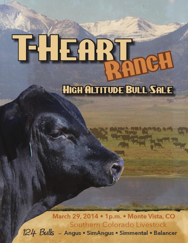 T-Heart Ranch - 2014 High Altitude Bull Sale