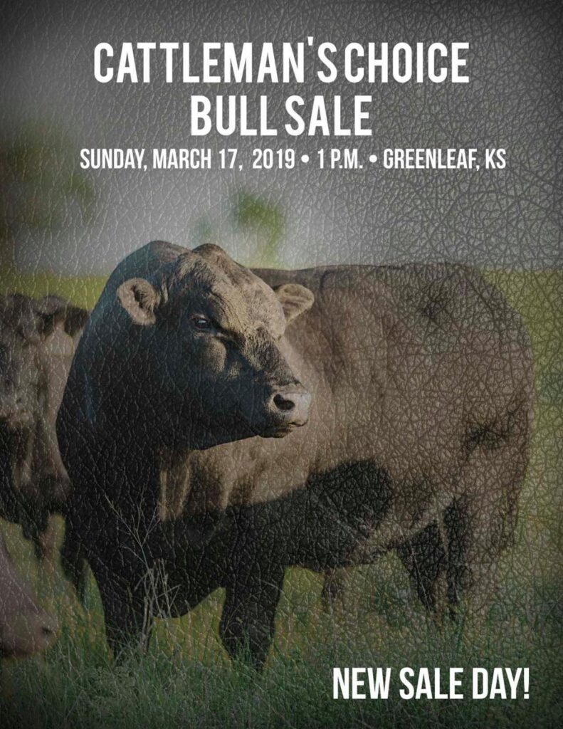 T Seven Ranch - 2019 Cattleman's Choice Sale