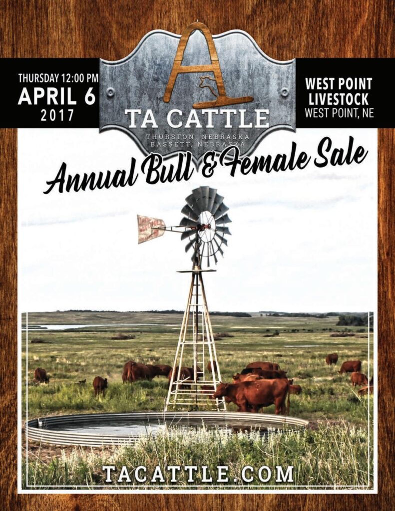TA Cattle - 2017 Bull & Female Sale