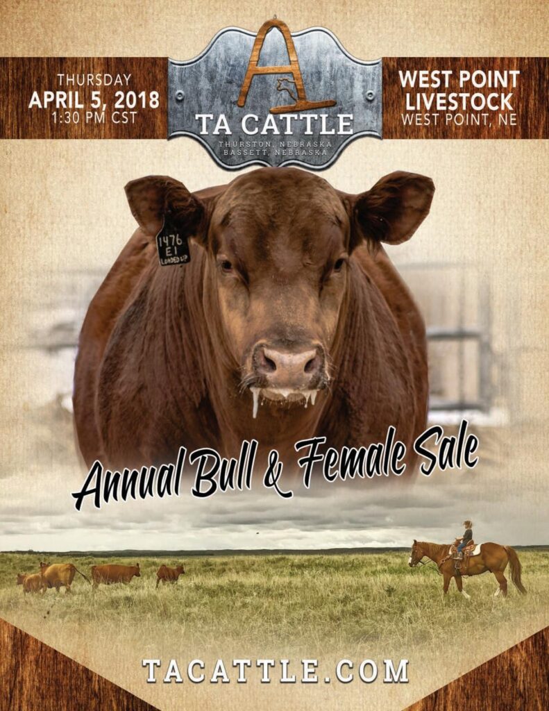 TA Cattle - 2018 Bull Sale