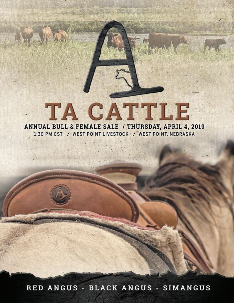 TA Cattle - 2019 Sale