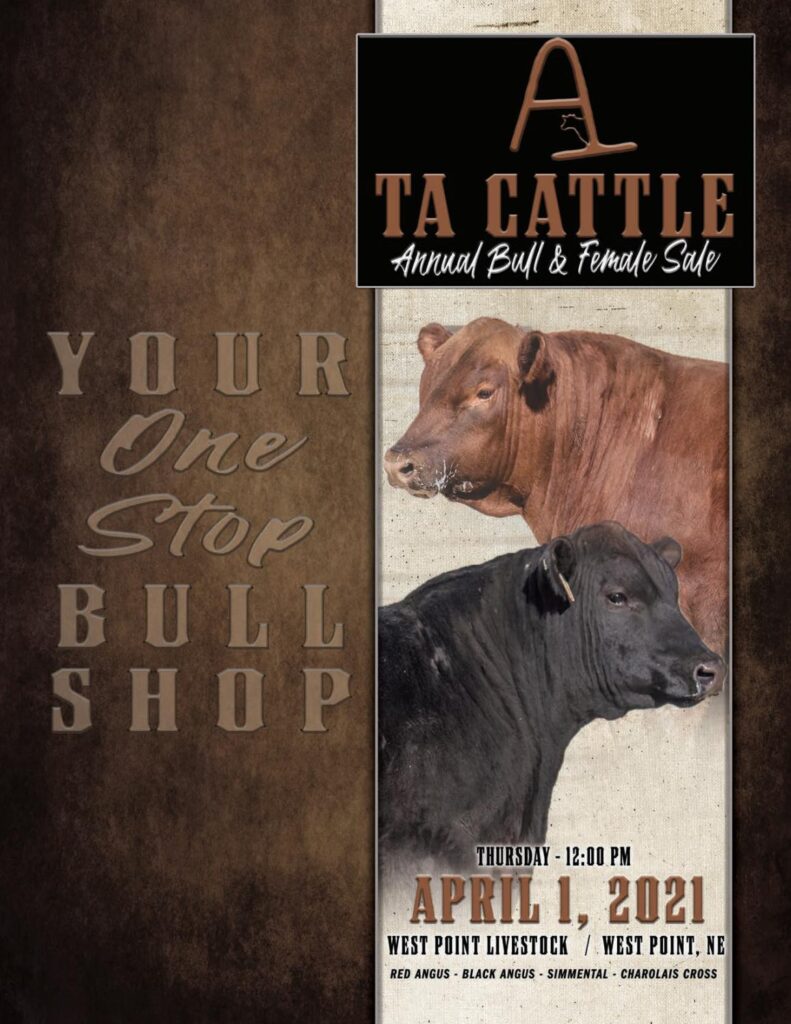 TA Cattle - 2021 Spring Sale