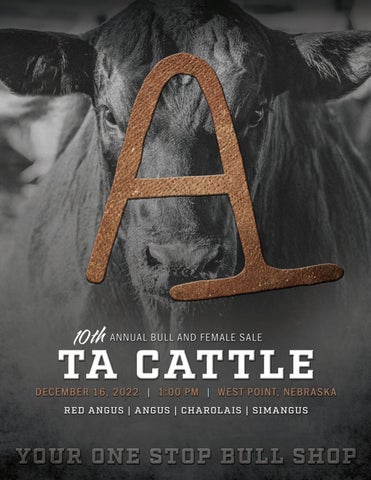 TA Cattle - 2022 Fall Sale