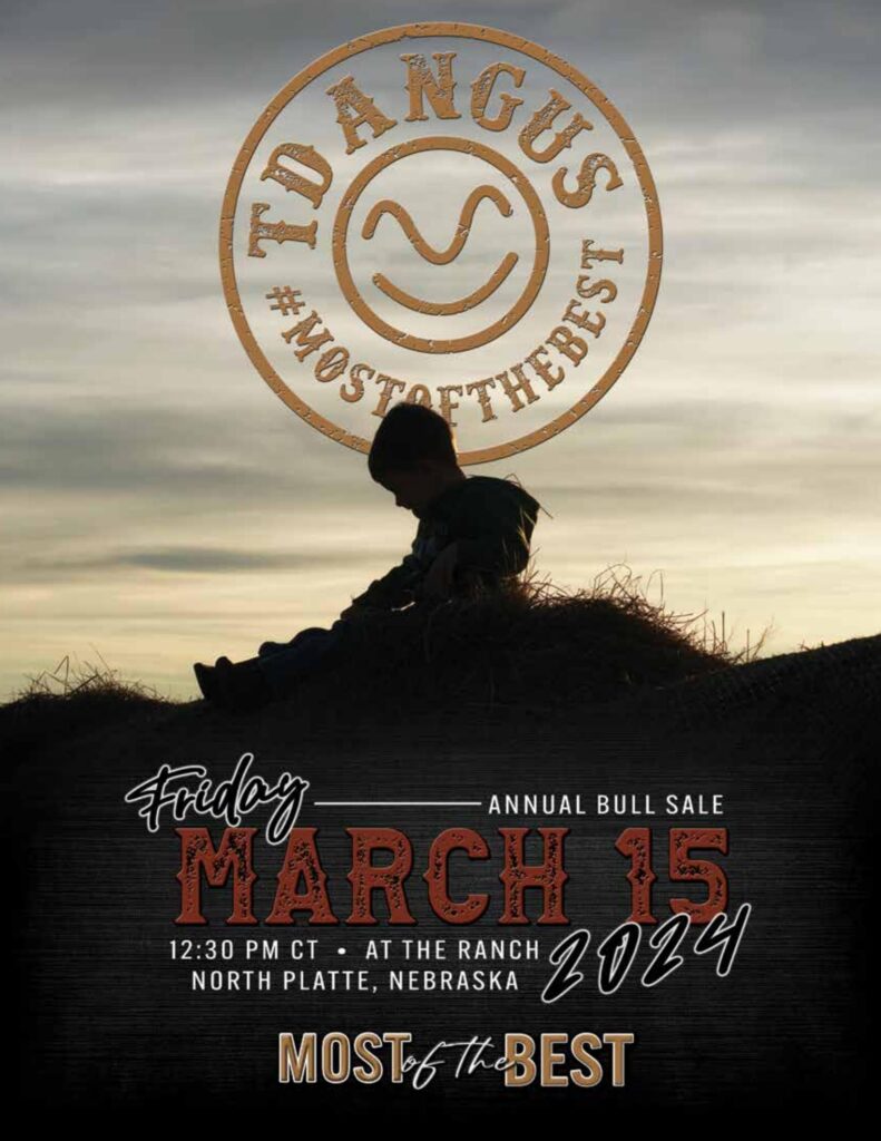 TD Angus Annual Bull Sale